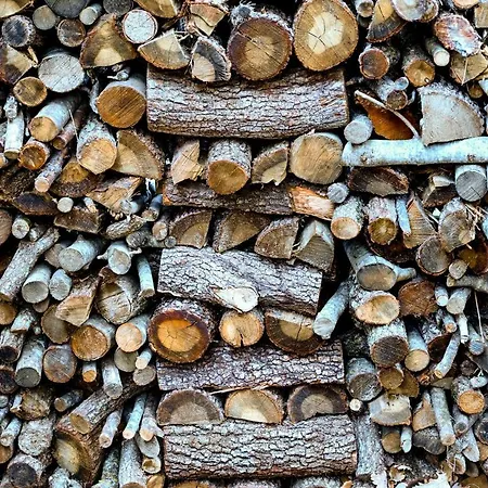 Profumo Di Bosco Dom wakacyjny