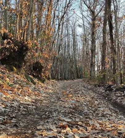 Vakantiehuis Profumo Di Bosco Spoleto