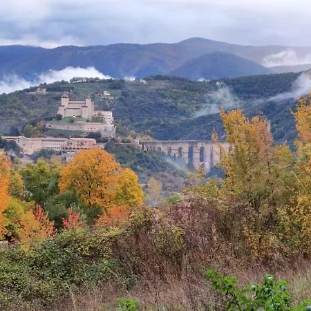 Profumo Di Bosco Spoleto