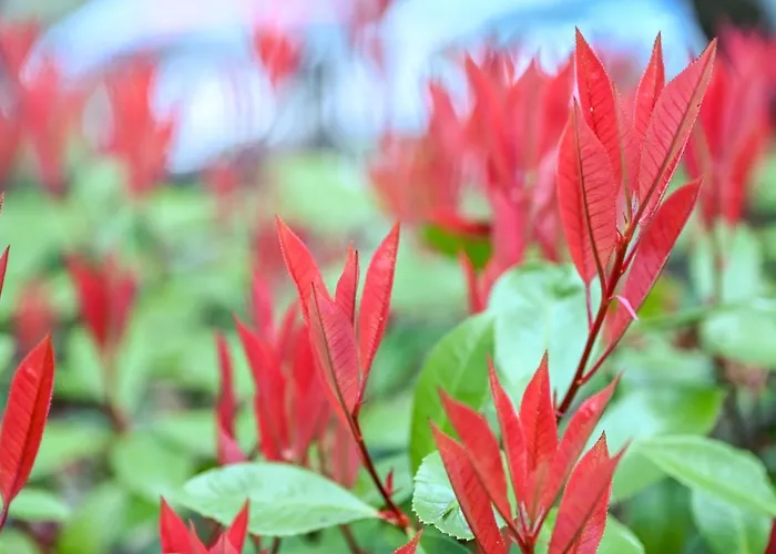 Profumo Di Bosco Prázdninový dům