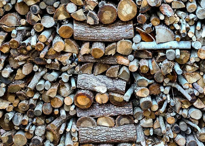 Profumo Di Bosco Prázdninový dům