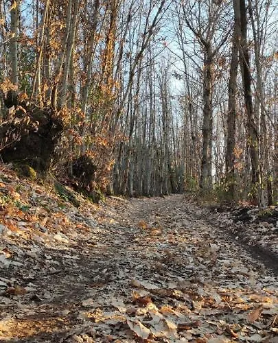 Prázdninový dům Profumo Di Bosco Spoleto
