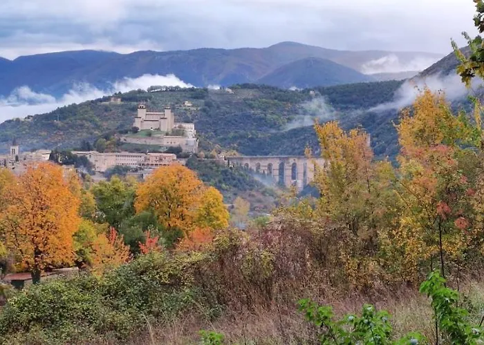 Profumo Di Bosco Spoleto