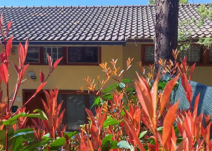 Profumo Di Bosco Spoleto