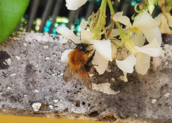 Profumo Di Bosco Сasa de vacaciones *